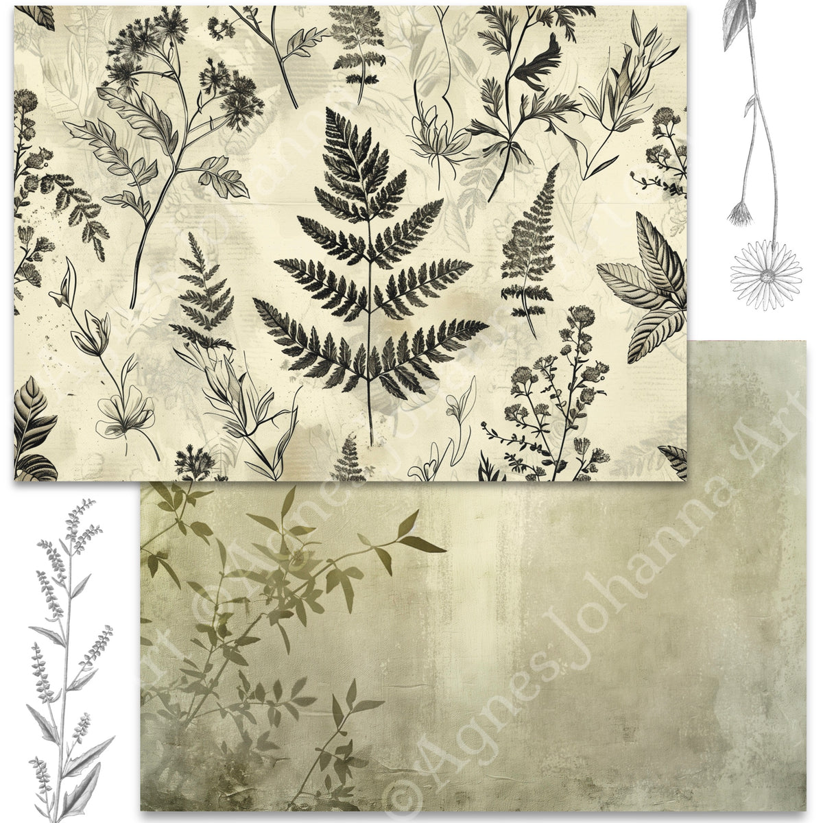 Digitales Papierset „Botanischer Garten“ - A4 zum Ausdrucken