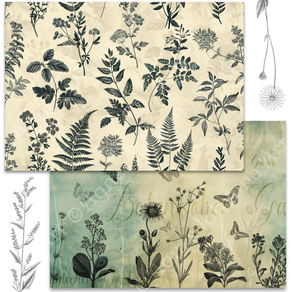 Gedrucktes Papierset "Botanischer Garten"