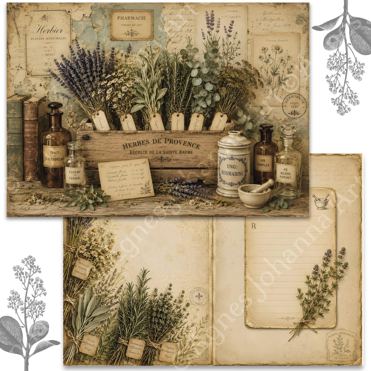Gedrucktes Papierset "Herboristerie "