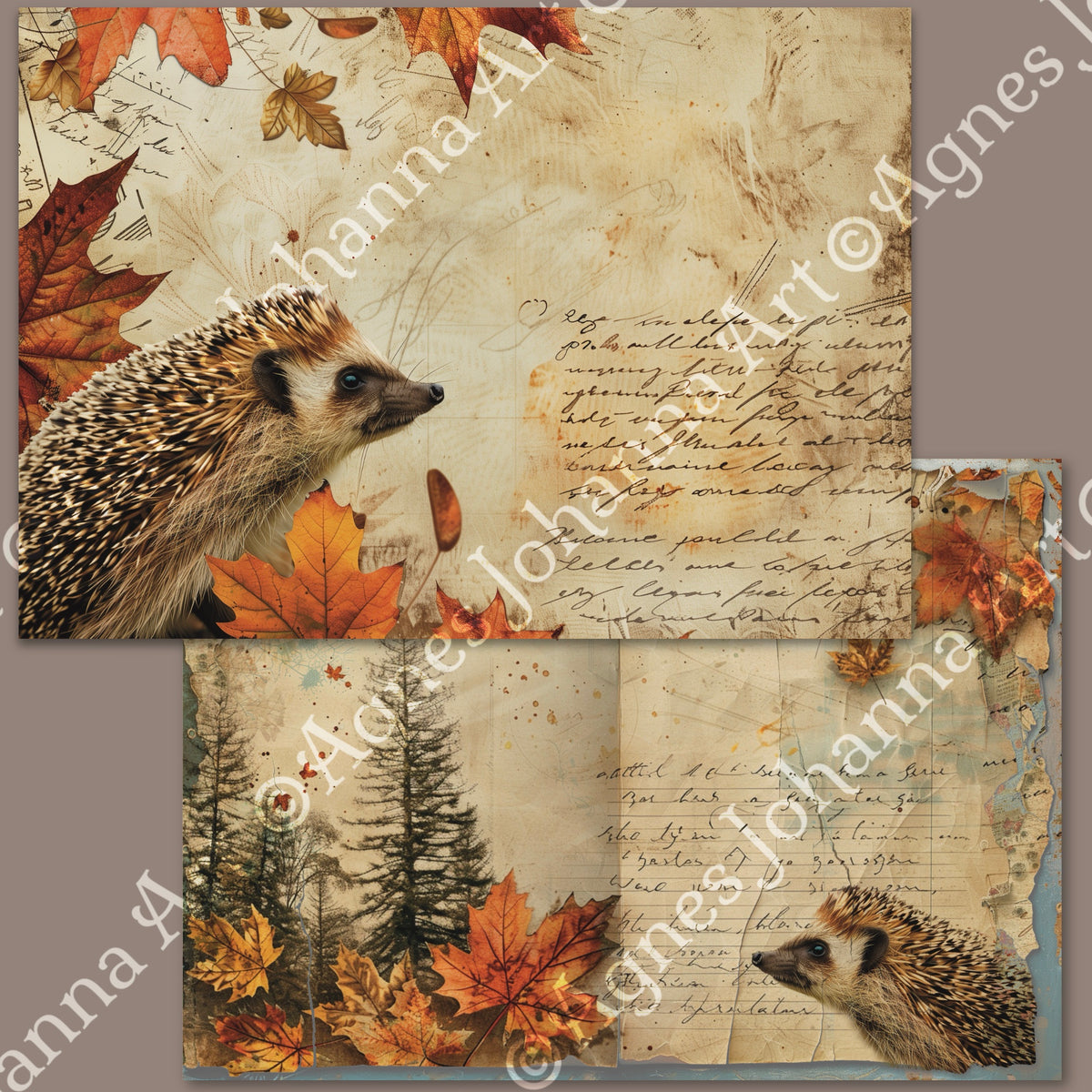 Gedrucktes Papierset "Tiere des Waldes"