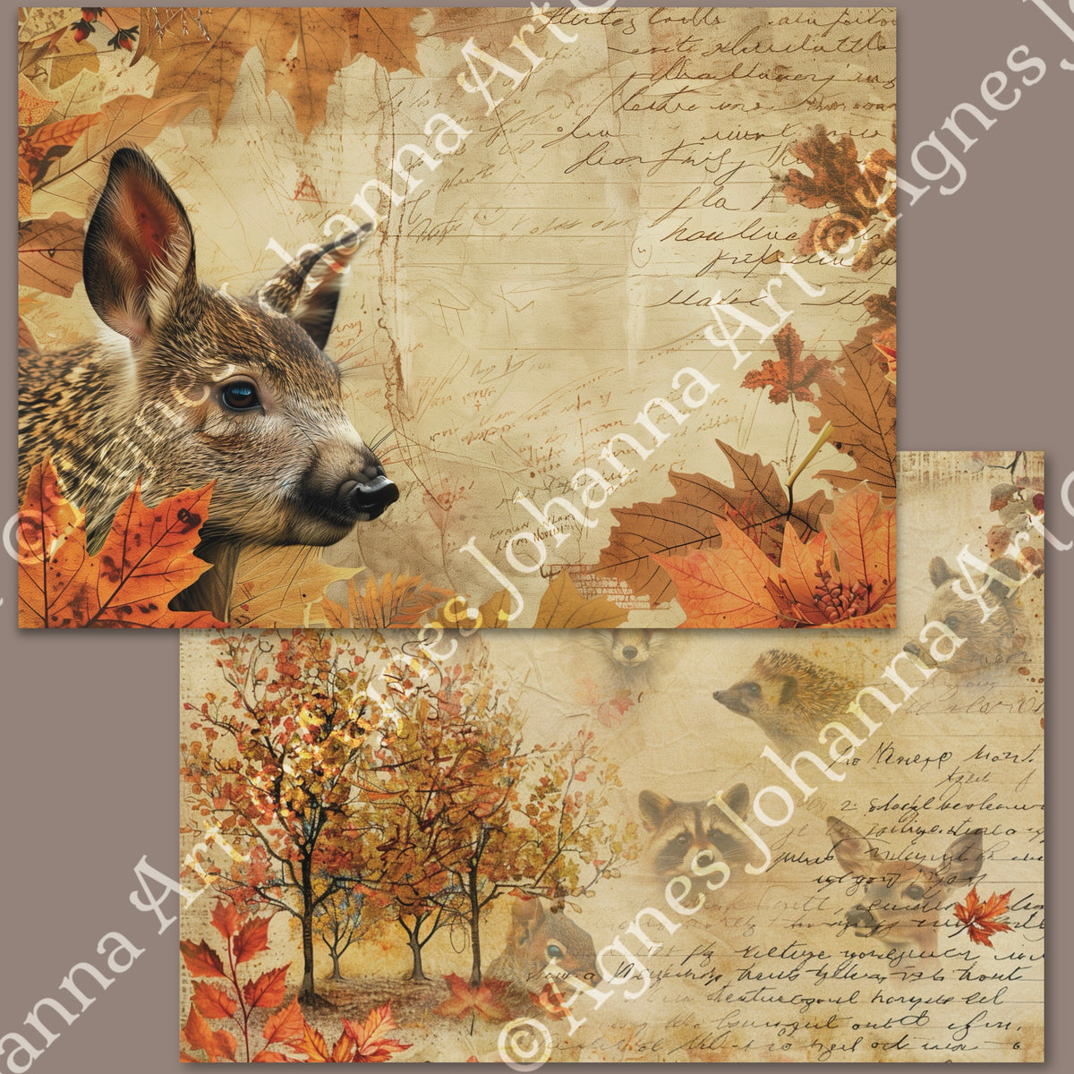 Gedrucktes Papierset "Tiere des Waldes"