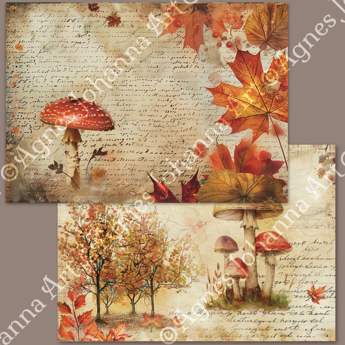 Gedrucktes Papierset "Pilze sammeln"