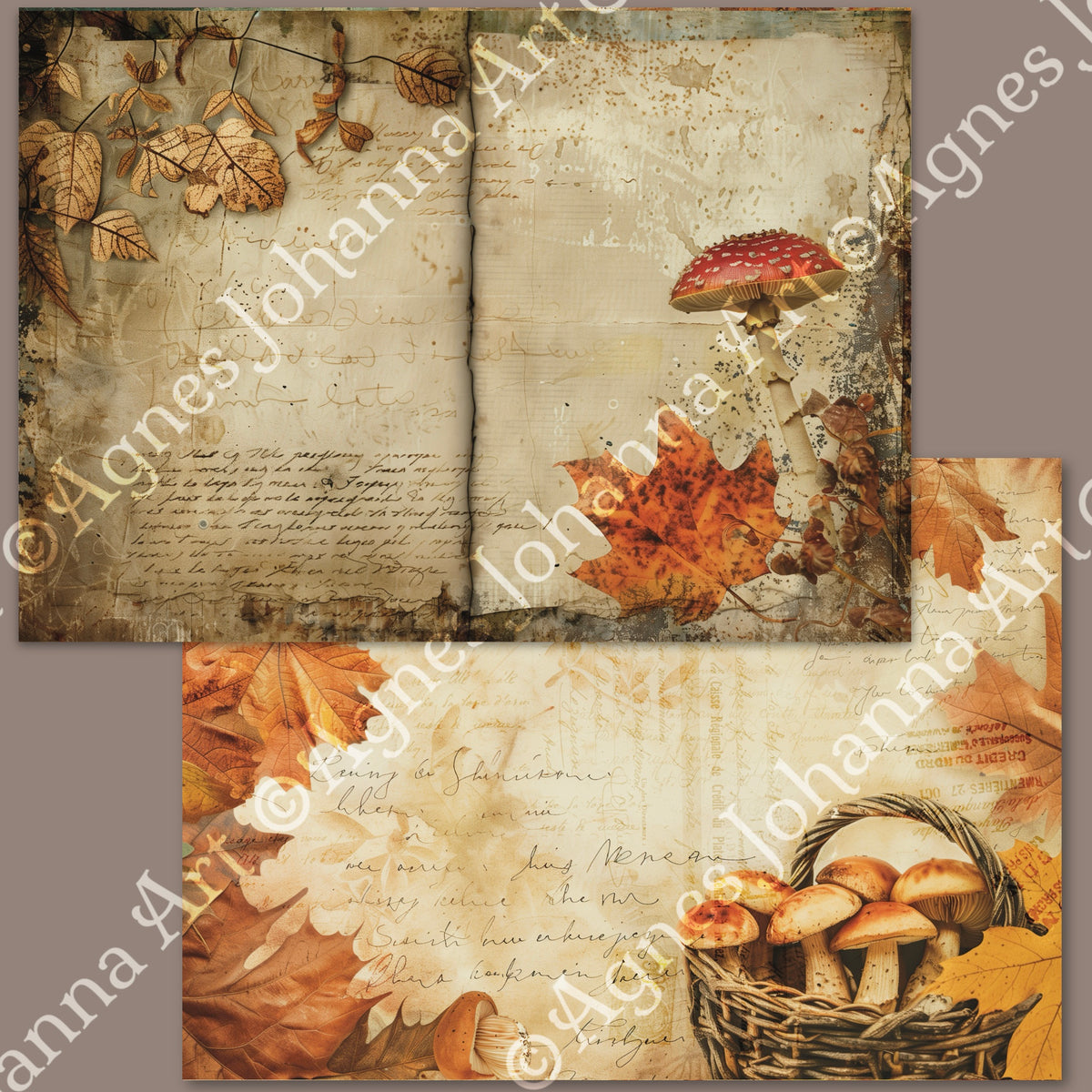 Gedrucktes Papierset "Pilze sammeln"