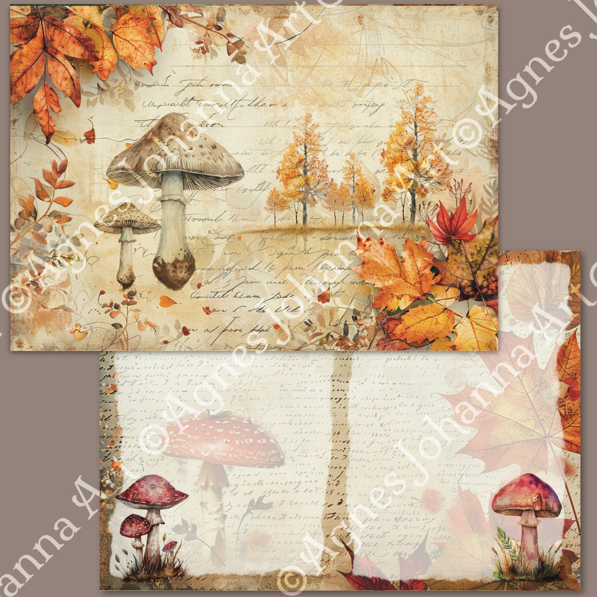 Gedrucktes Papierset "Pilze sammeln"
