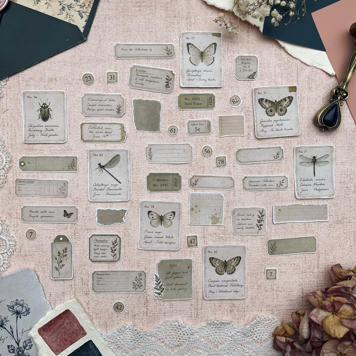 Specimen Ephemera | Fuzzy Cuts