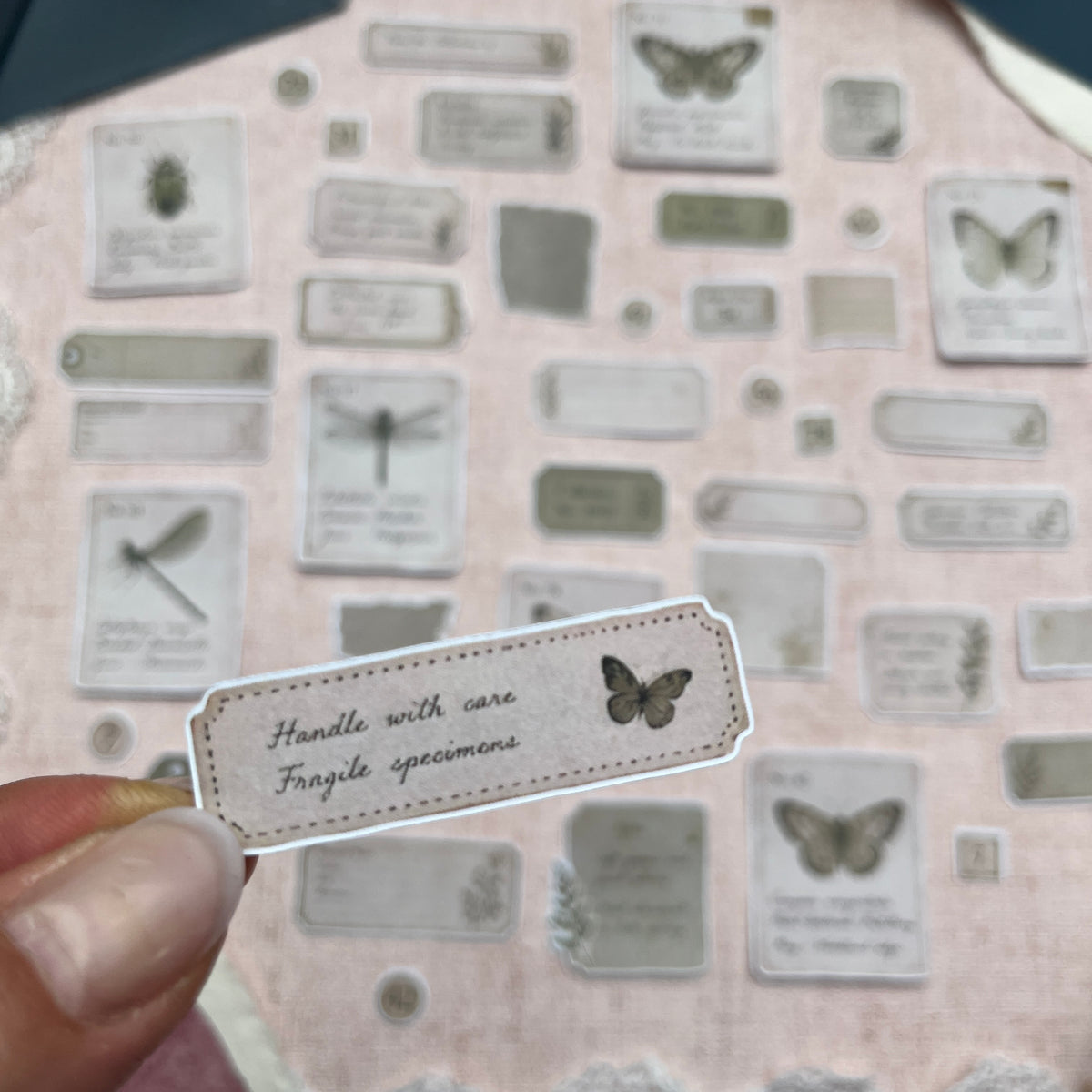 Specimen Ephemera | Fuzzy Cuts
