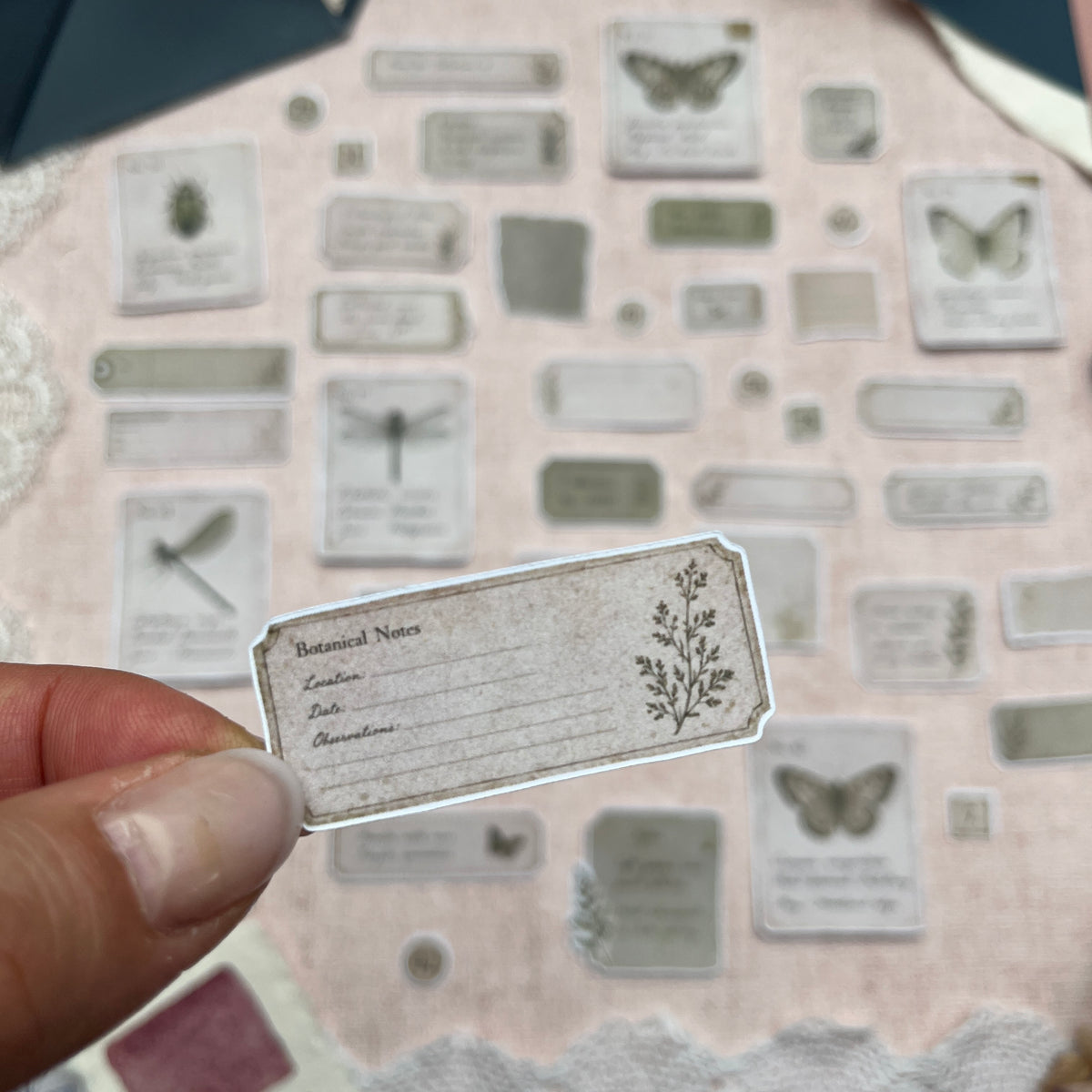Specimen Ephemera | Fuzzy Cuts