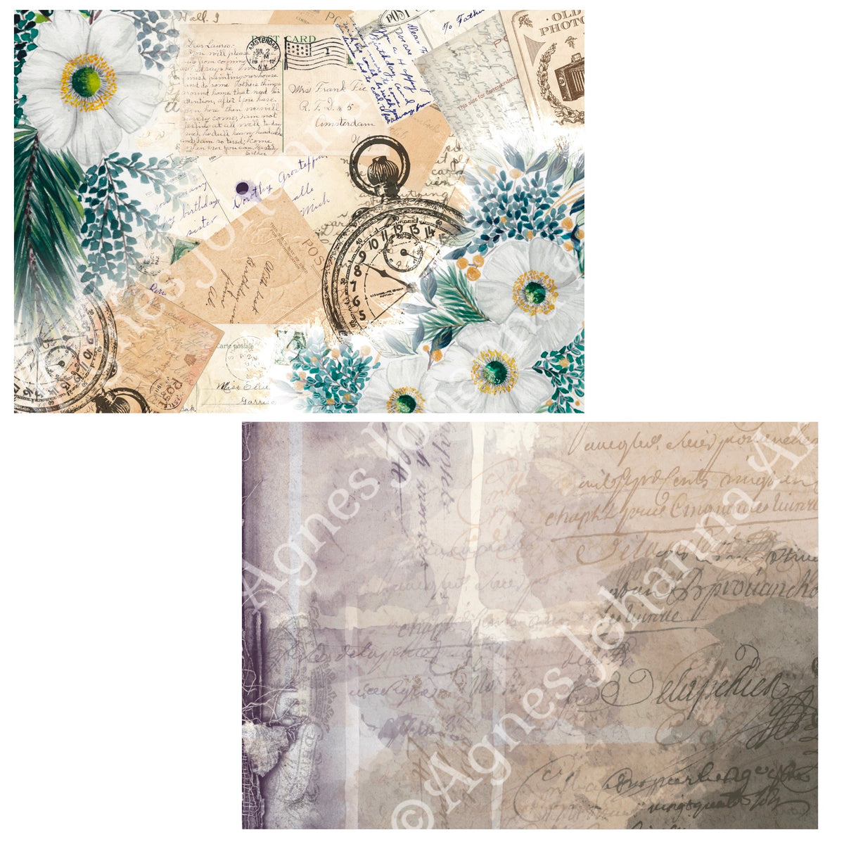 Digitales Papierset „Weisse Anemonen“ – A4 zum Ausdrucken