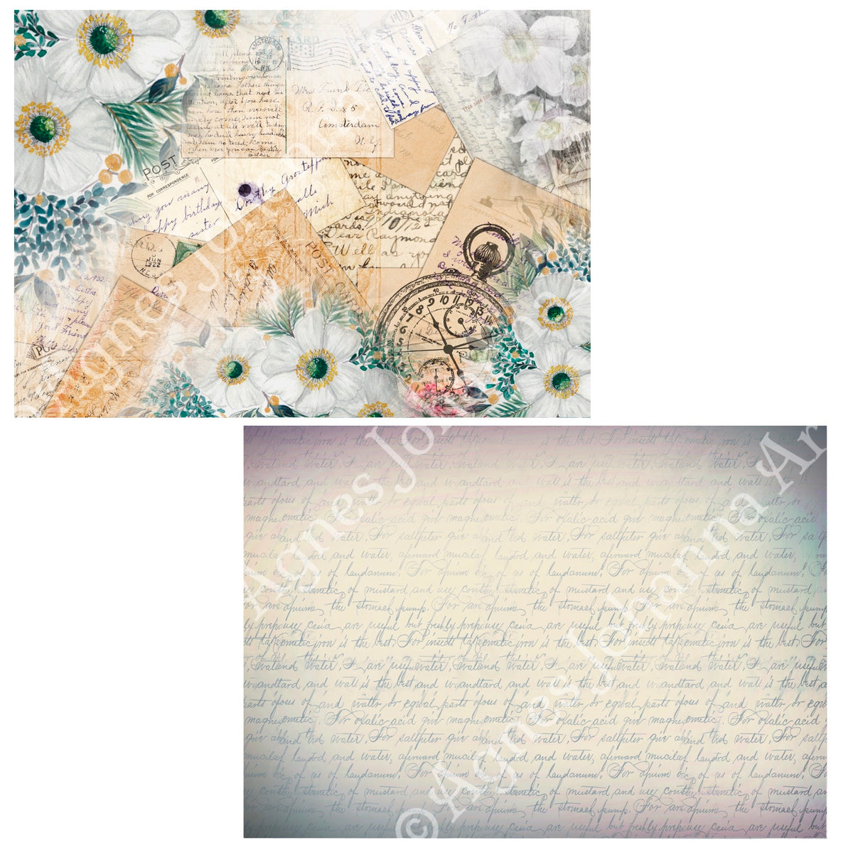 Digitales Papierset „Weisse Anemonen“ – A4 zum Ausdrucken