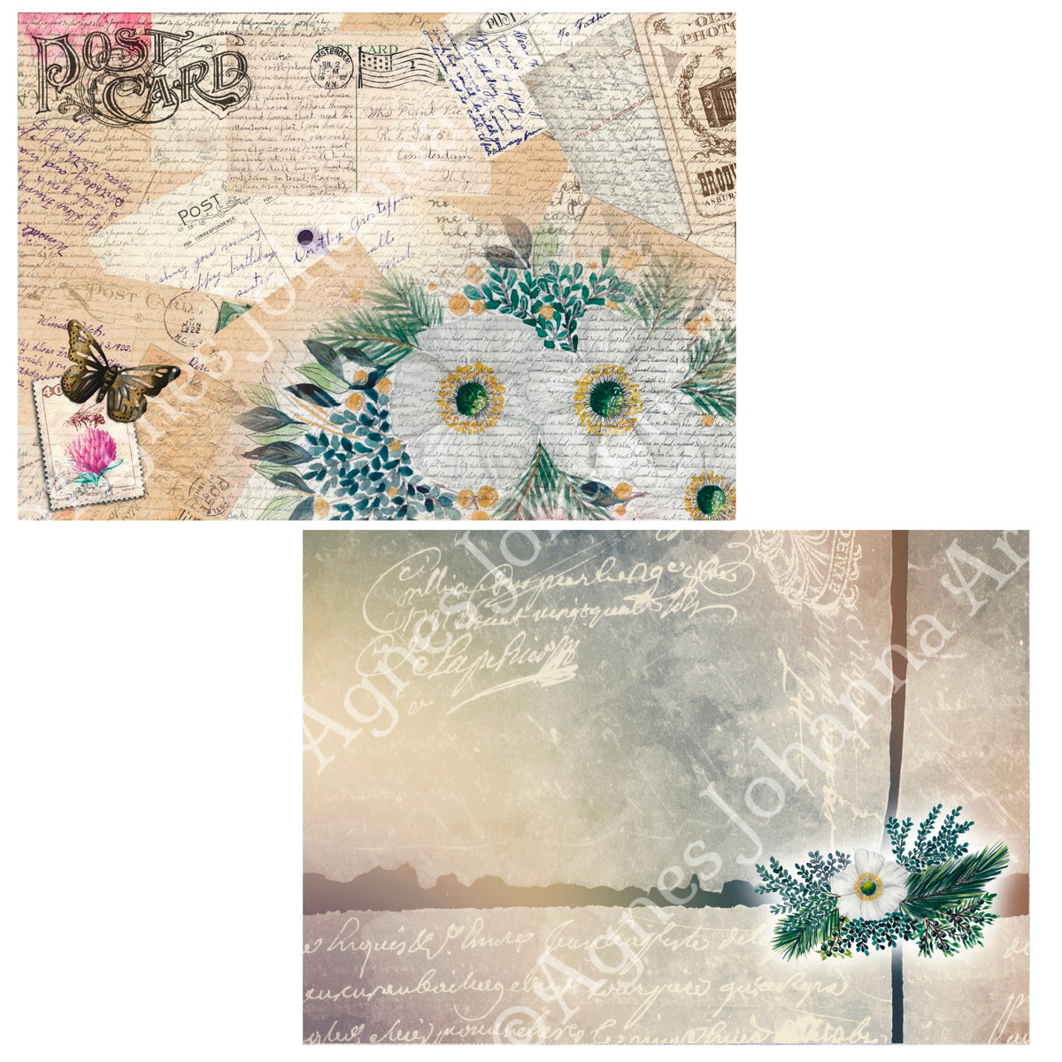 Digitales Papierset „Weisse Anemonen“ – A4 zum Ausdrucken
