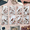 Shabby Chic Vögel | Journal Karten Set mit 8 Karten