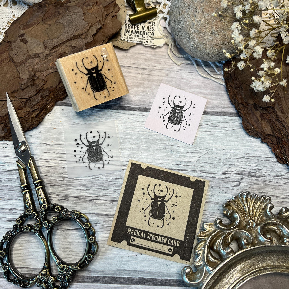 Holzstempel „Specimen“ – 5 x 5 cm und 3 x 3 cm