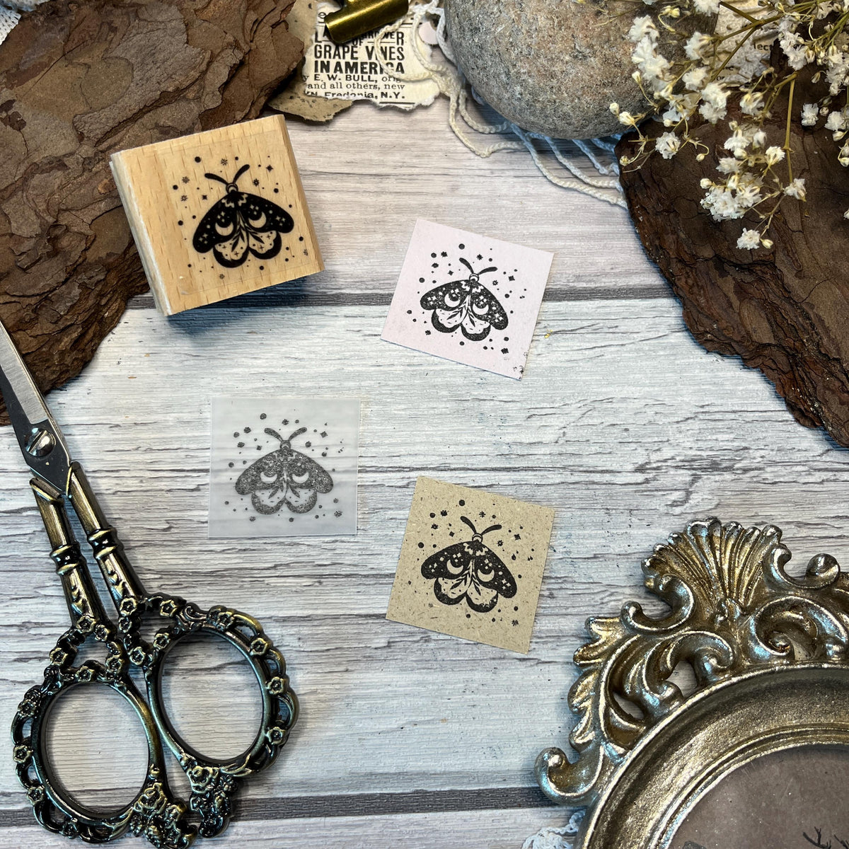 Holzstempel „Specimen“ – 5 x 5 cm und 3 x 3 cm